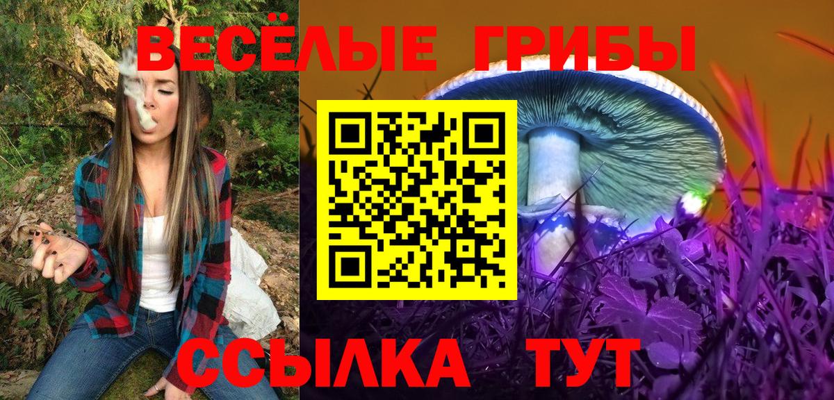 Псилоцибиновые грибы Cubensis Богородицк